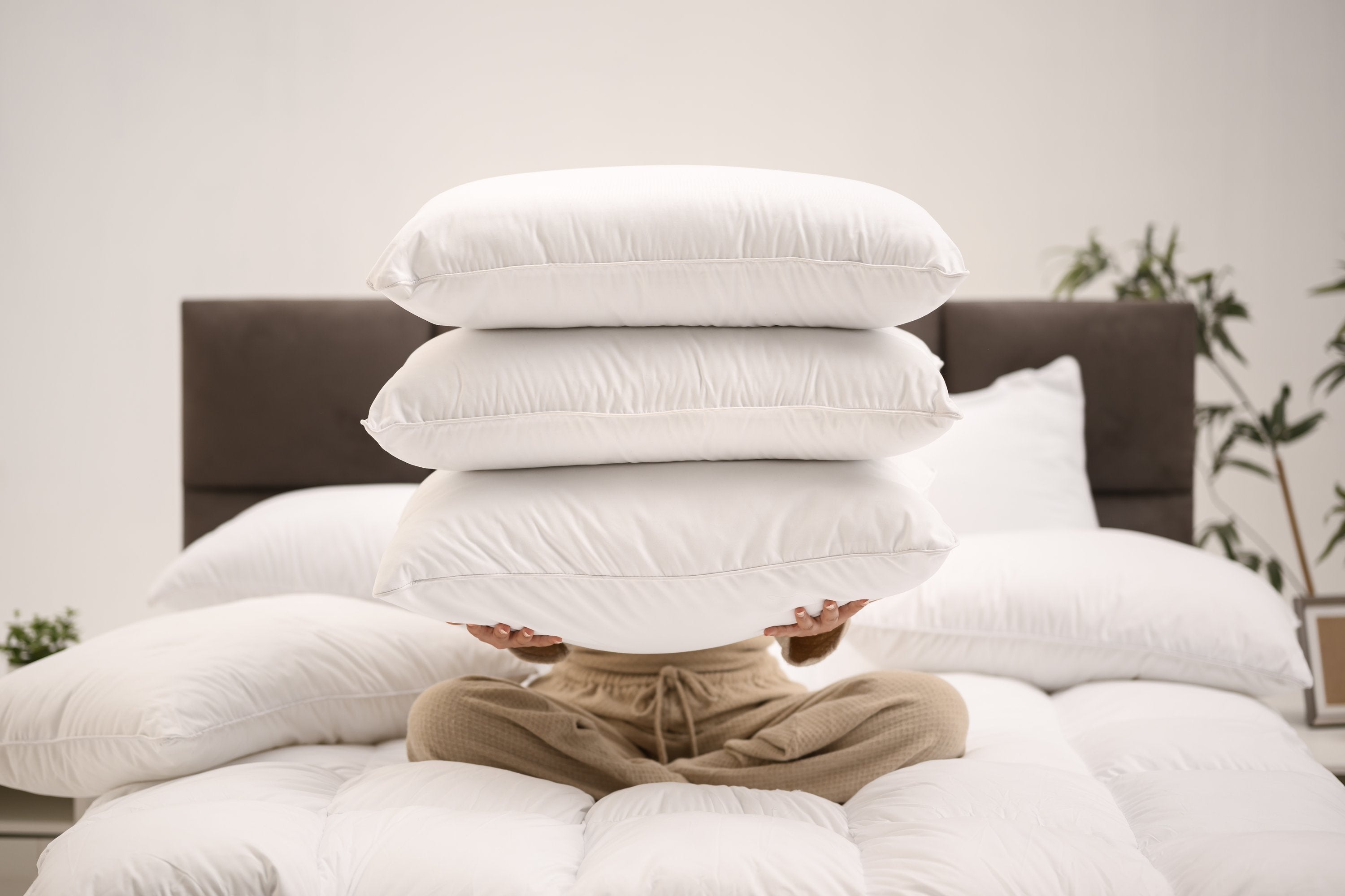 Super Soft Microfiber Pillow