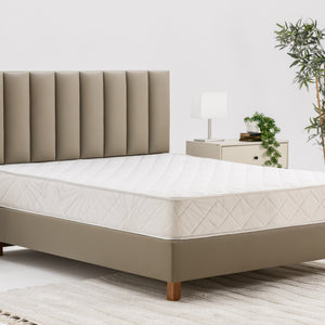 Virginia Mattress