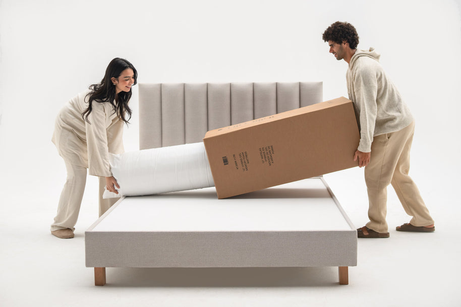 Pokebed Deluxe Mattress