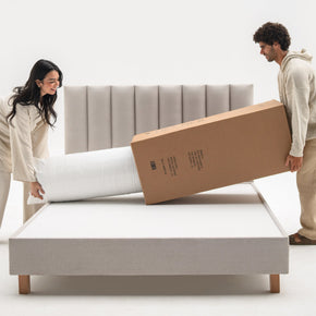 Pokebed Plus Mattress