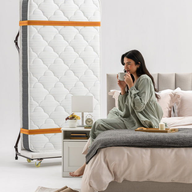 Roll Away Bed with Virginia Mattress