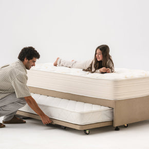 Trundle Bed