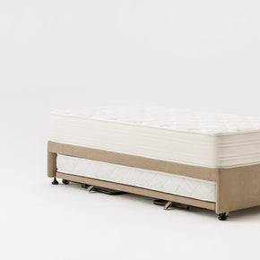 Trundle Bed