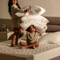 Classic Pillow