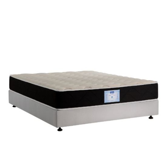 Masterbed. Product Reviews. MasterBed Flexa Mattress (Pocketed Spring