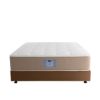 Picture of MasterBed Florida Extra Mattress (Pocketed Spring + Memory Foam)